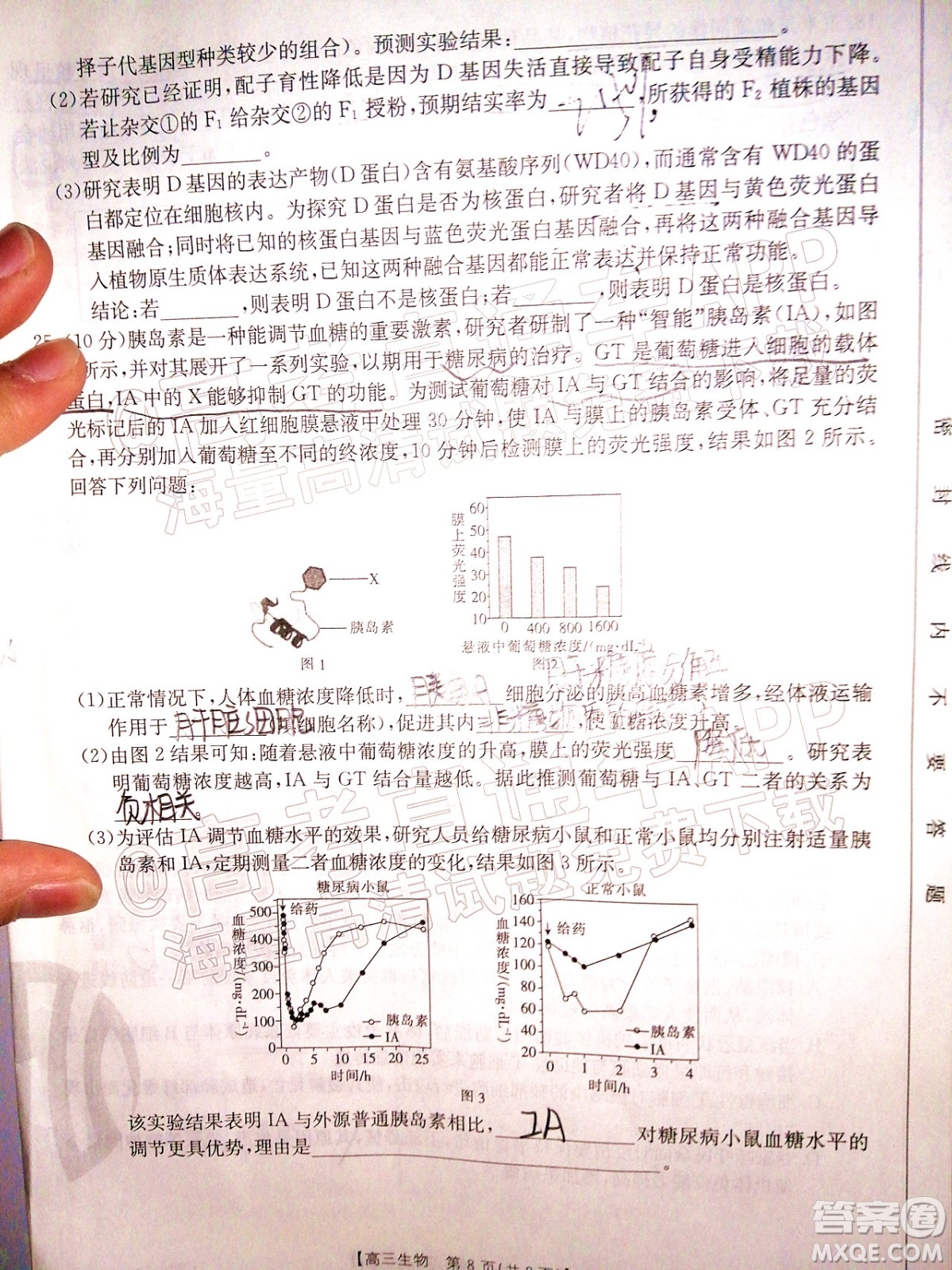 2022屆山東金太陽12月聯(lián)考高三生物試題及答案