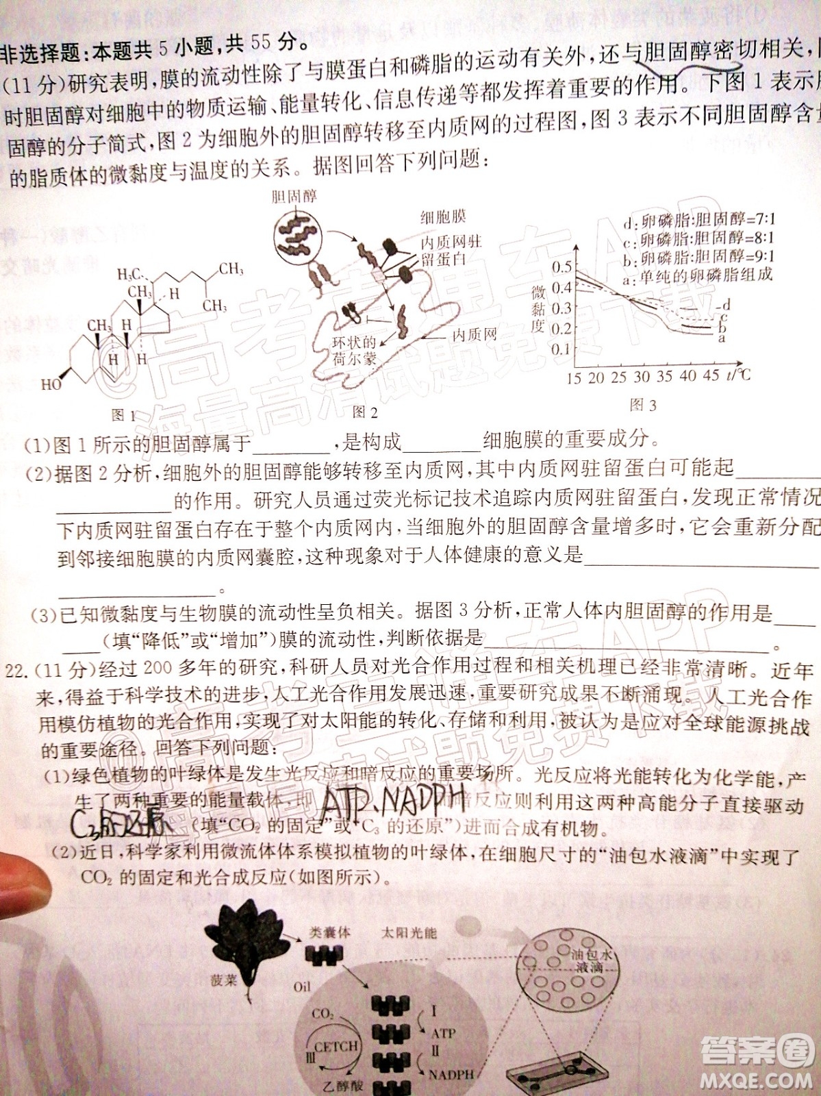 2022屆山東金太陽12月聯(lián)考高三生物試題及答案