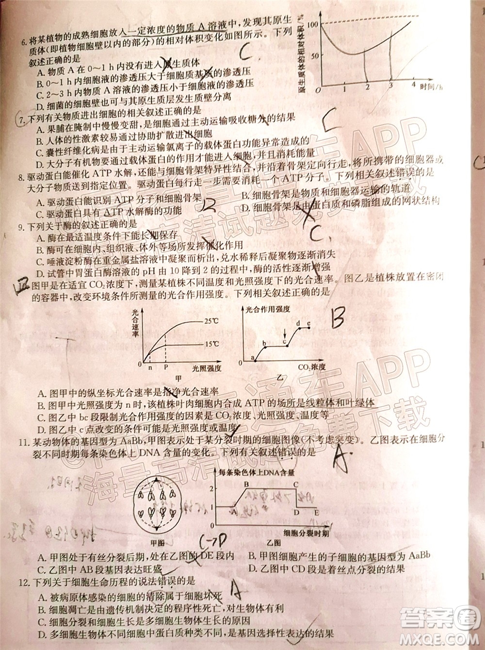 蒙城一中渦陽一中淮南一中懷遠一中潁上一中2022屆高三第一次五校聯(lián)考生物試題及答案