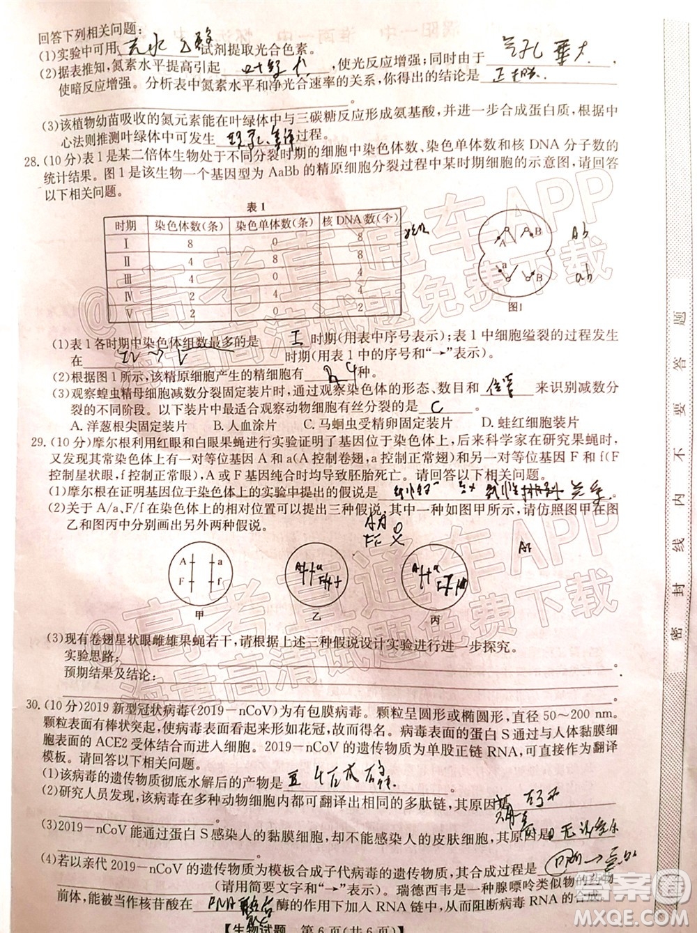 蒙城一中渦陽一中淮南一中懷遠一中潁上一中2022屆高三第一次五校聯(lián)考生物試題及答案