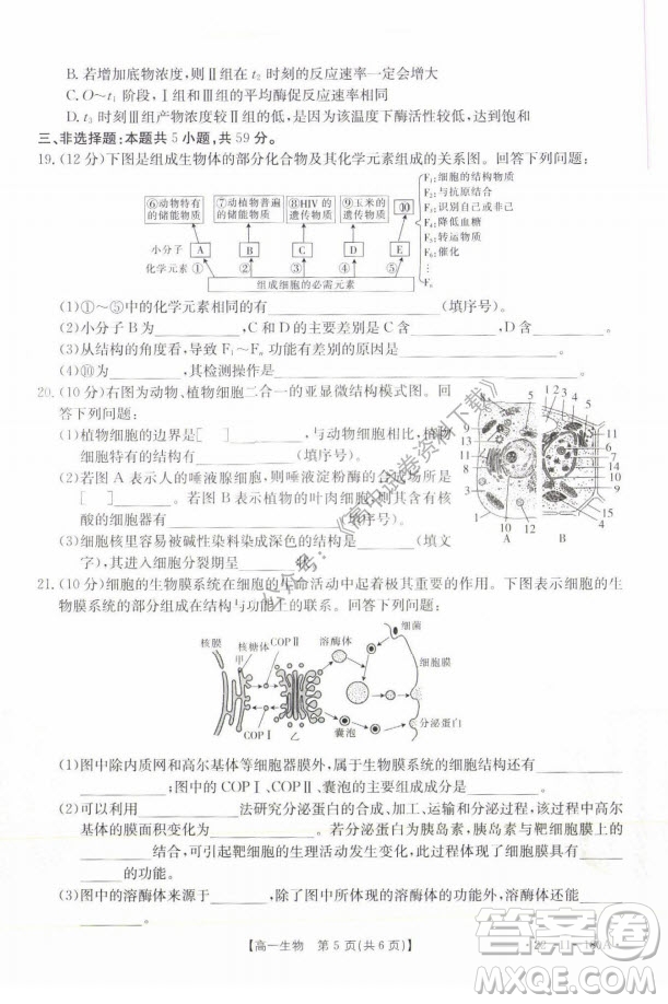 2021年河北金太陽高一12月聯(lián)考生物試題及答案