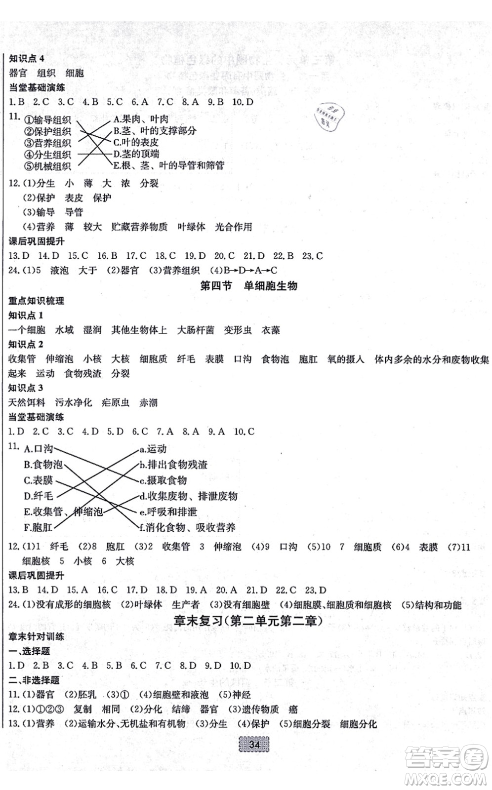 遼寧少年兒童出版社2021練重點七年級生物上冊RJ人教版河南專版答案