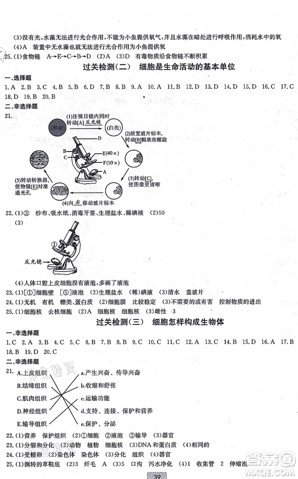 遼寧少年兒童出版社2021練重點七年級生物上冊RJ人教版河南專版答案