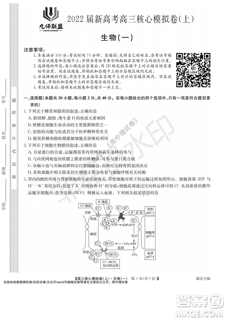 九師聯(lián)盟2022屆新高考高三核心模擬卷上生物一試題及答案