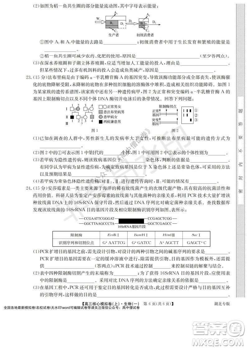 九師聯(lián)盟2022屆新高考高三核心模擬卷上生物一試題及答案