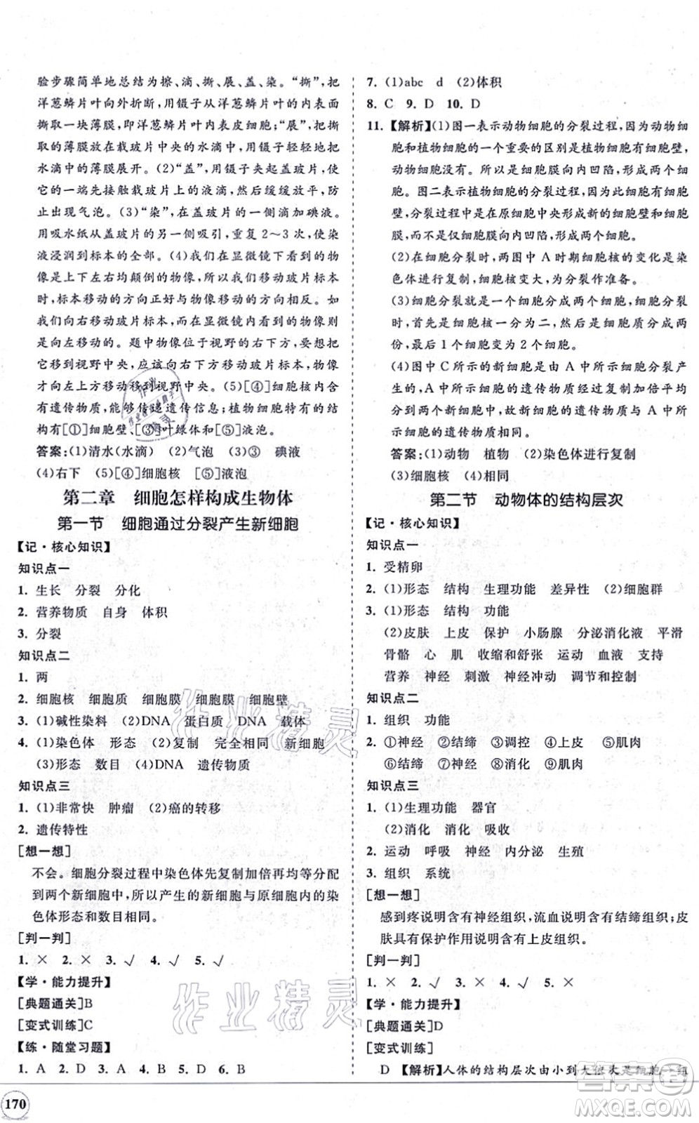 海南出版社2021新課程同步練習(xí)冊七年級生物上冊人教版答案