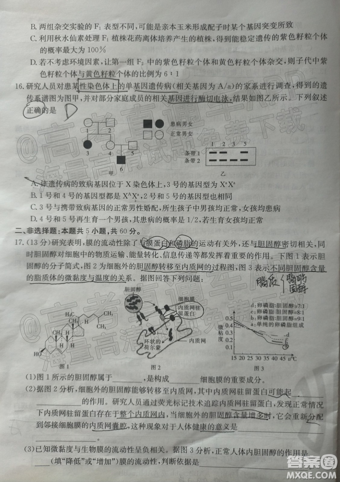 2022屆福建金太陽高三12月聯(lián)考生物試題及答案