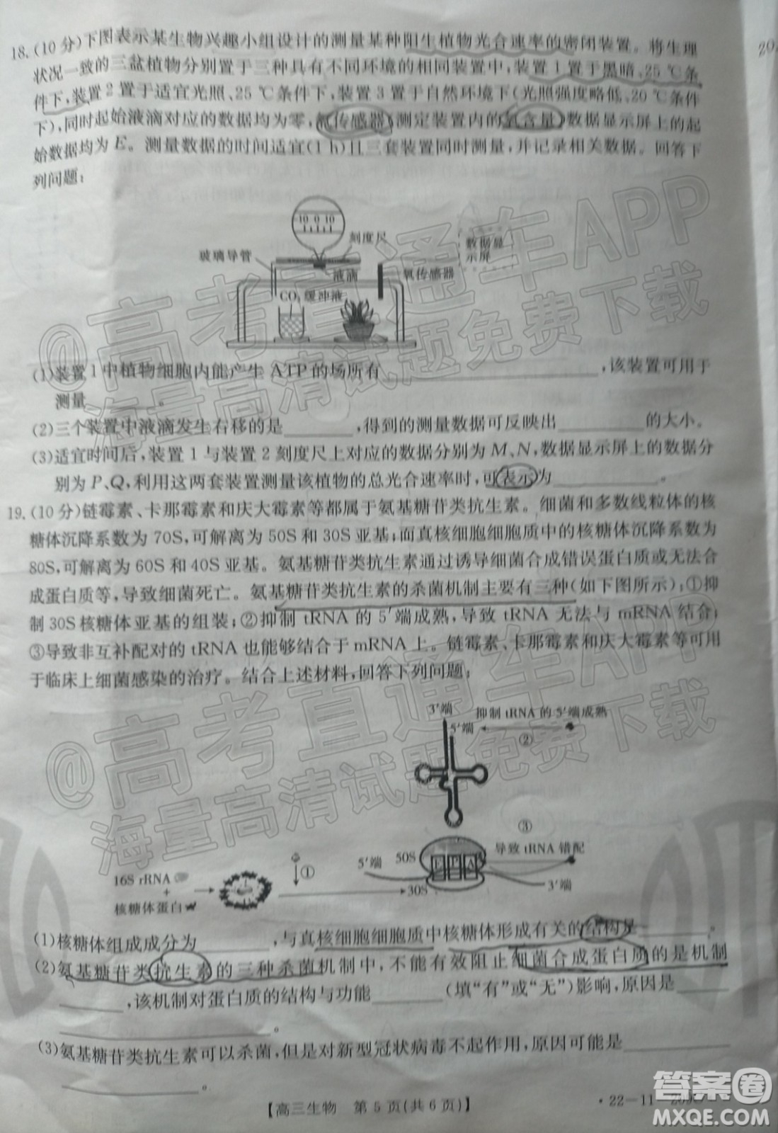 2022屆福建金太陽高三12月聯(lián)考生物試題及答案