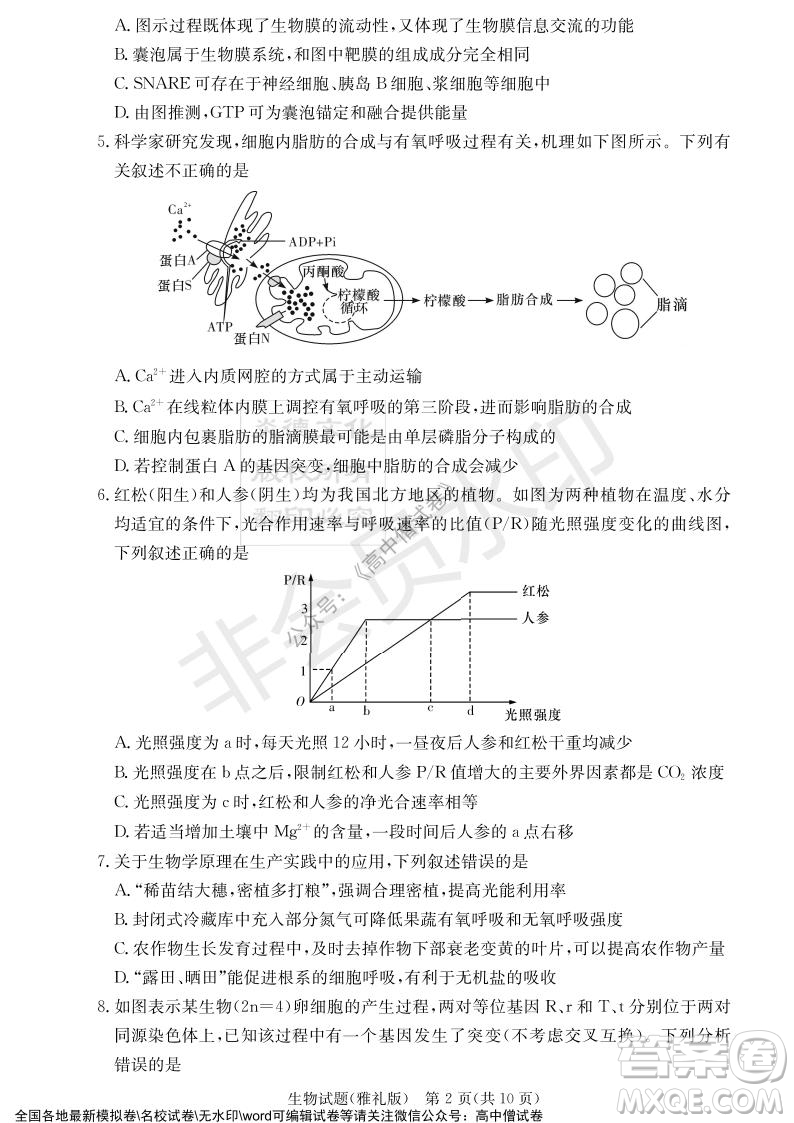 炎德英才大聯(lián)考雅禮中學(xué)2022屆高三月考試卷四生物試題及答案