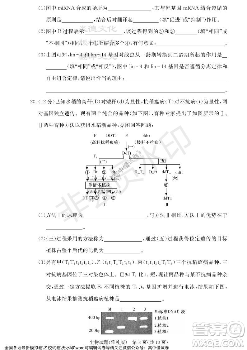 炎德英才大聯(lián)考雅禮中學(xué)2022屆高三月考試卷四生物試題及答案