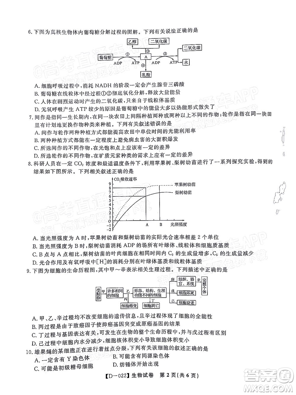 2022屆皖江名校聯(lián)盟高三第四次聯(lián)考生物試題及答案