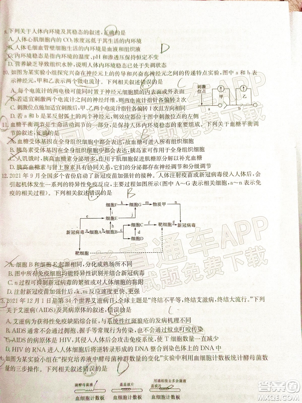 2022屆九師聯(lián)盟高三新高考12月質(zhì)量檢測(cè)全國(guó)卷生物試題及答案