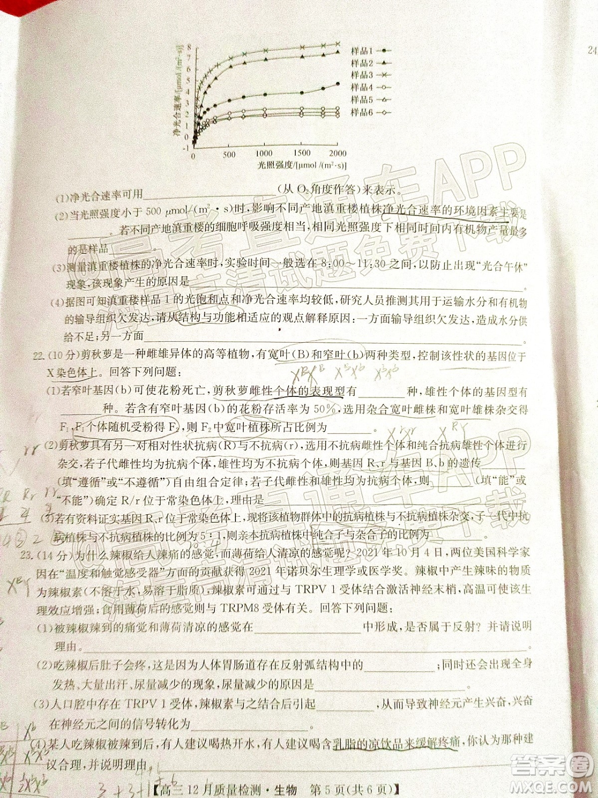 2022屆九師聯(lián)盟高三新高考12月質(zhì)量檢測(cè)全國(guó)卷生物試題及答案