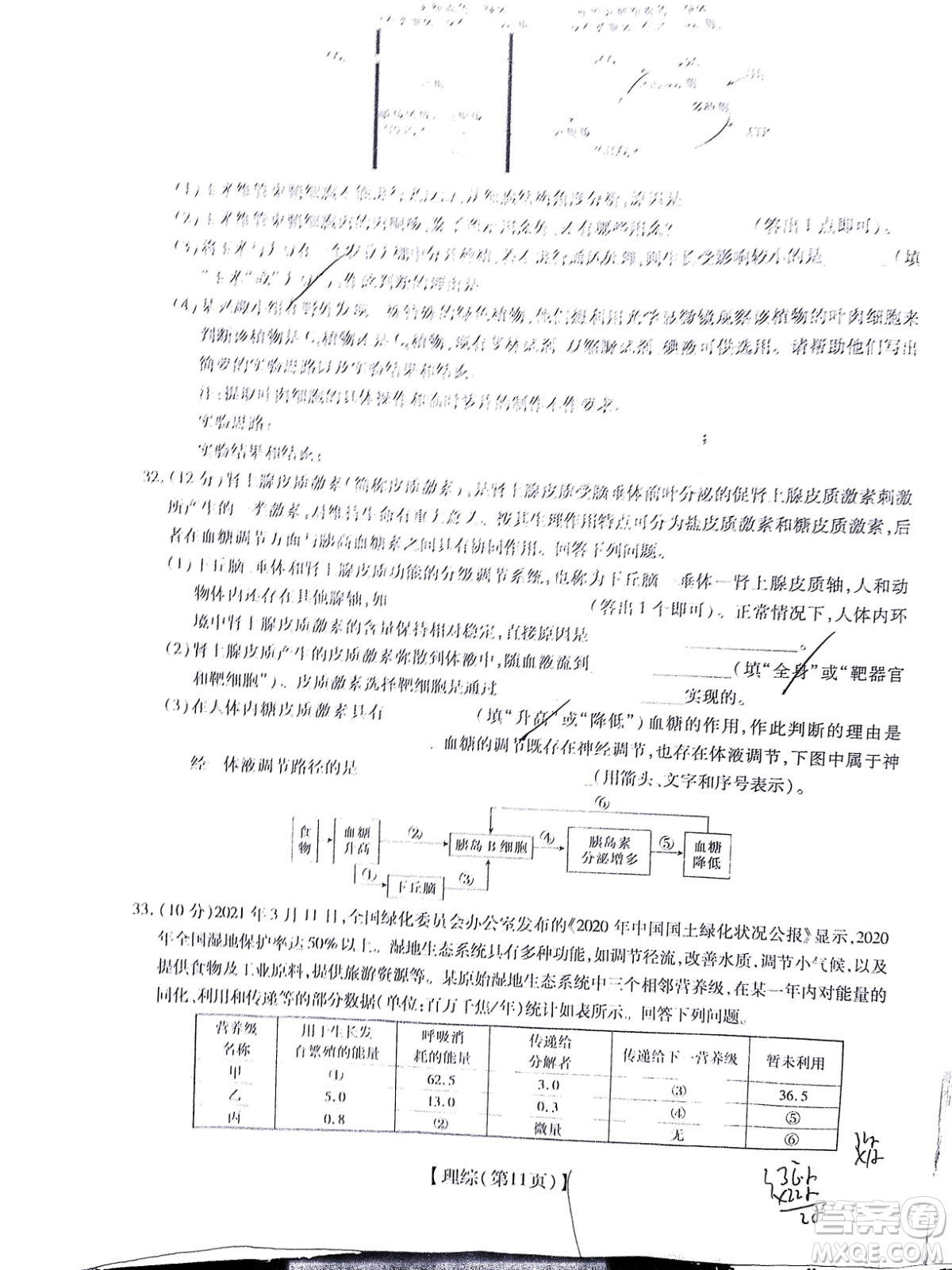 智慧上進(jìn)2021-2022學(xué)年高三總復(fù)習(xí)階段性檢測(cè)考試?yán)砜凭C合試題及答案