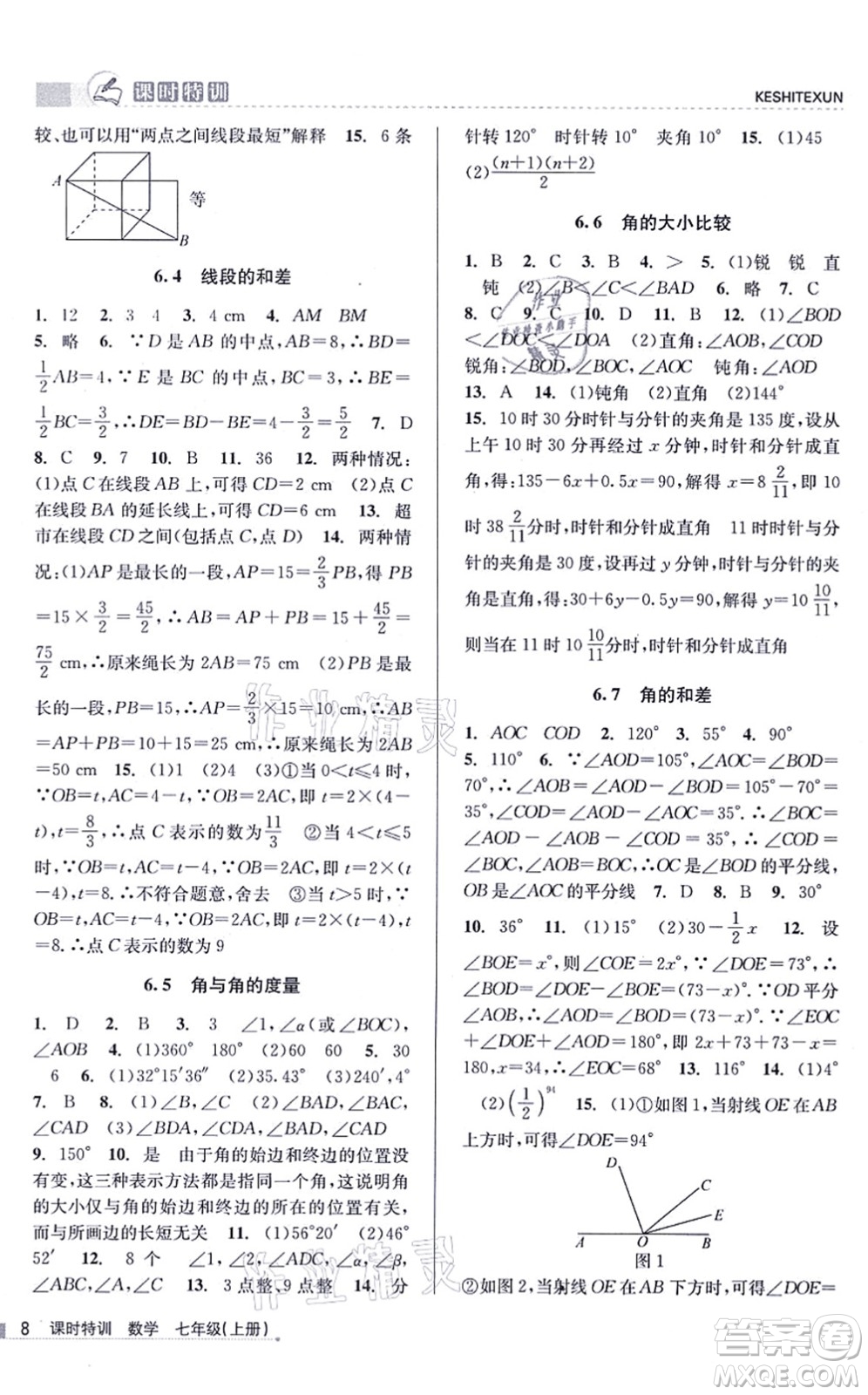 浙江人民出版社2021課時特訓(xùn)七年級數(shù)學(xué)上冊Z浙教版答案