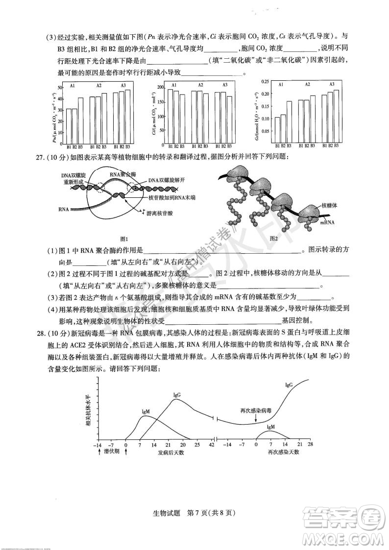 天一大聯(lián)考2021-2022學(xué)年上高三年級名校聯(lián)盟考試生物試題及答案