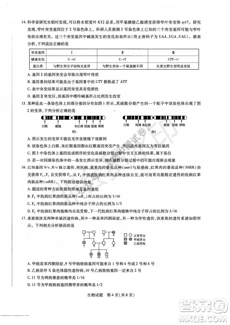 天一大聯(lián)考2021-2022學(xué)年上高三年級名校聯(lián)盟考試生物試題及答案