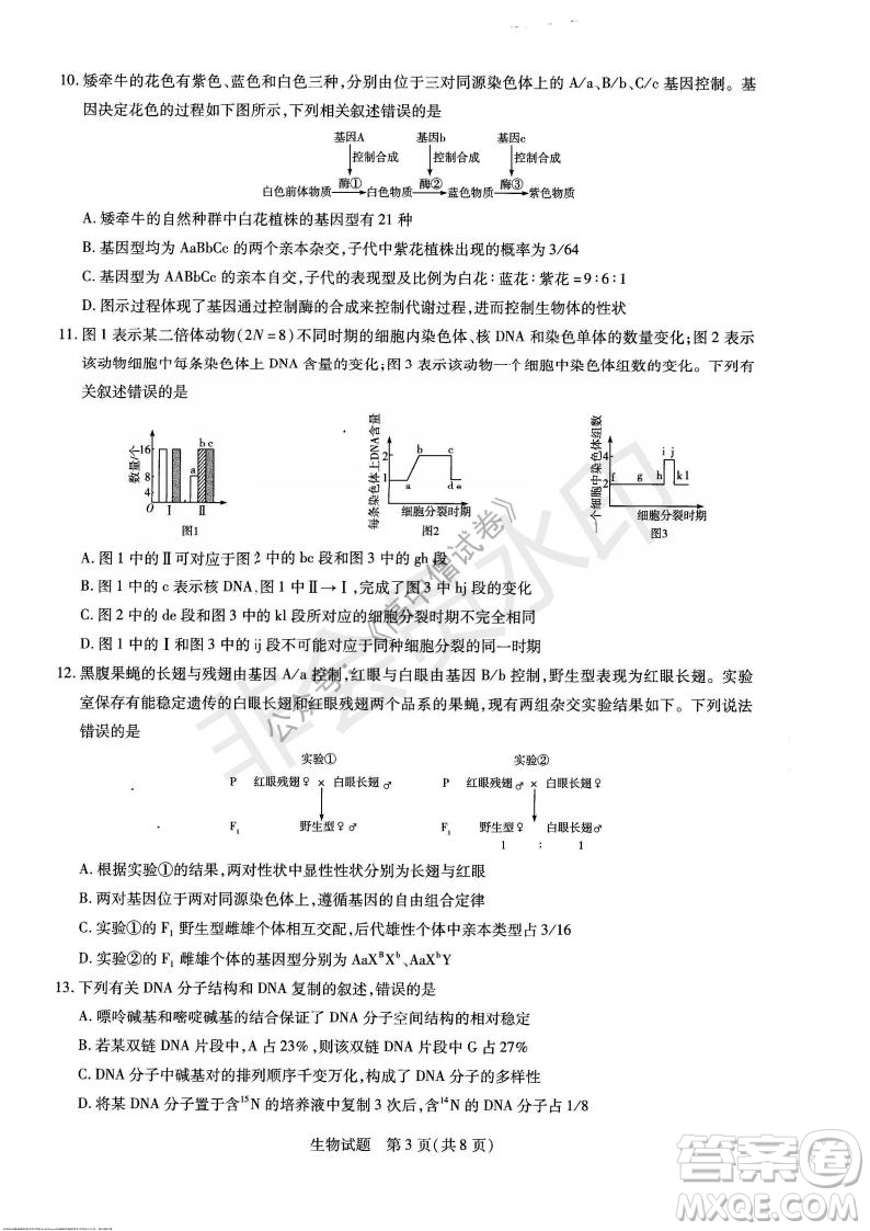 天一大聯(lián)考2021-2022學(xué)年上高三年級名校聯(lián)盟考試生物試題及答案