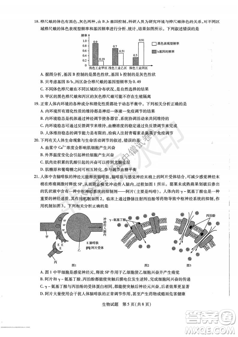 天一大聯(lián)考2021-2022學(xué)年上高三年級名校聯(lián)盟考試生物試題及答案