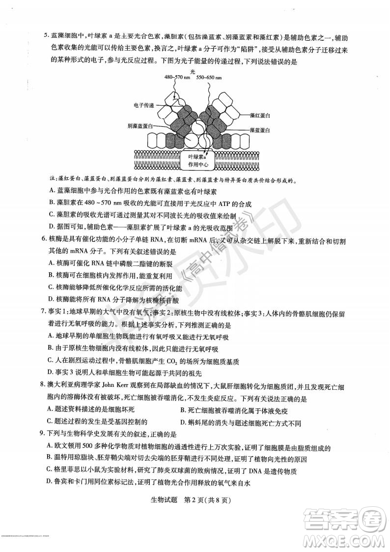 天一大聯(lián)考2021-2022學(xué)年上高三年級名校聯(lián)盟考試生物試題及答案