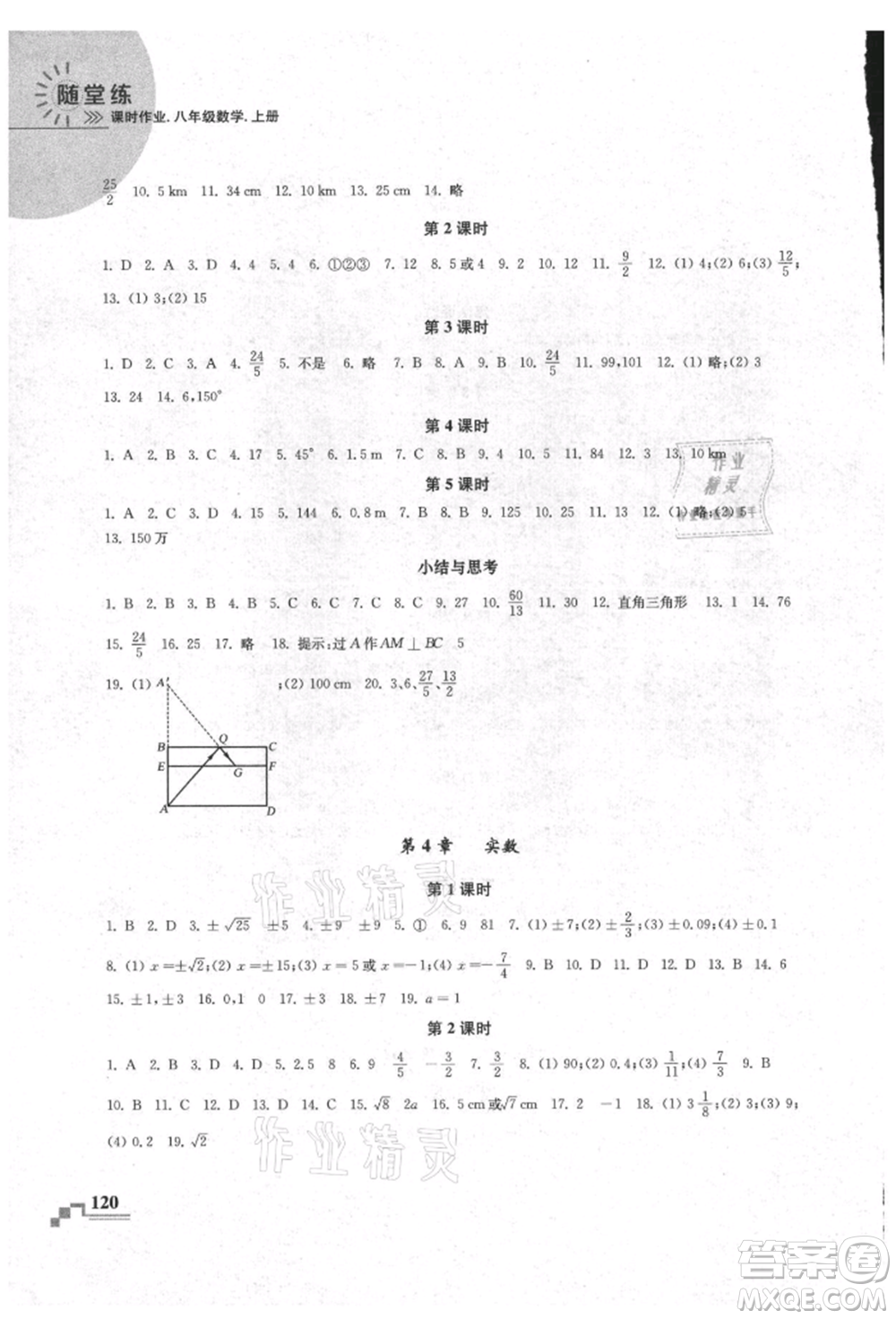 河海大學(xué)出版社2021隨堂練課時(shí)作業(yè)八年級(jí)數(shù)學(xué)上冊(cè)蘇科版參考答案