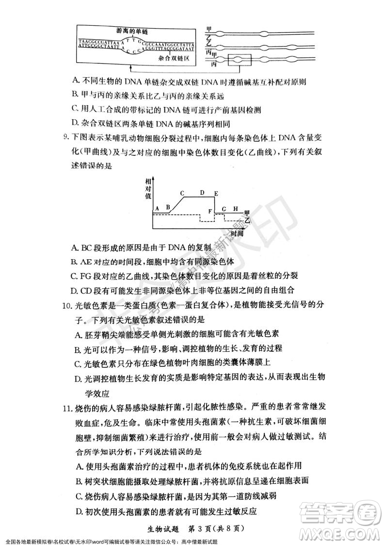 湖南名校聯(lián)考聯(lián)合體2021年秋季高二12月大聯(lián)考生物試題及答案