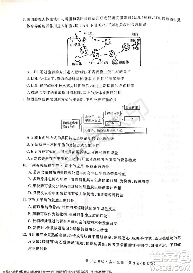 河北部分學(xué)校2021-2022上學(xué)期第三次月考高一生物試題及答案