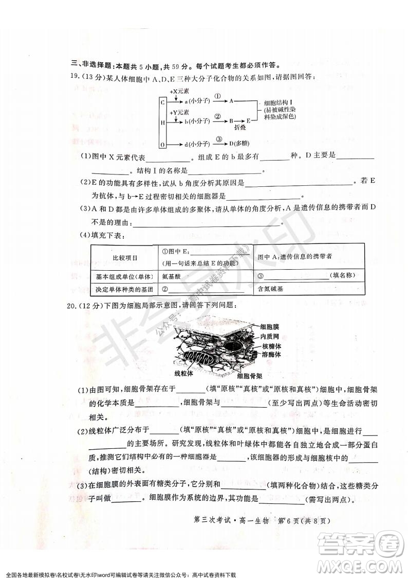 河北部分學(xué)校2021-2022上學(xué)期第三次月考高一生物試題及答案