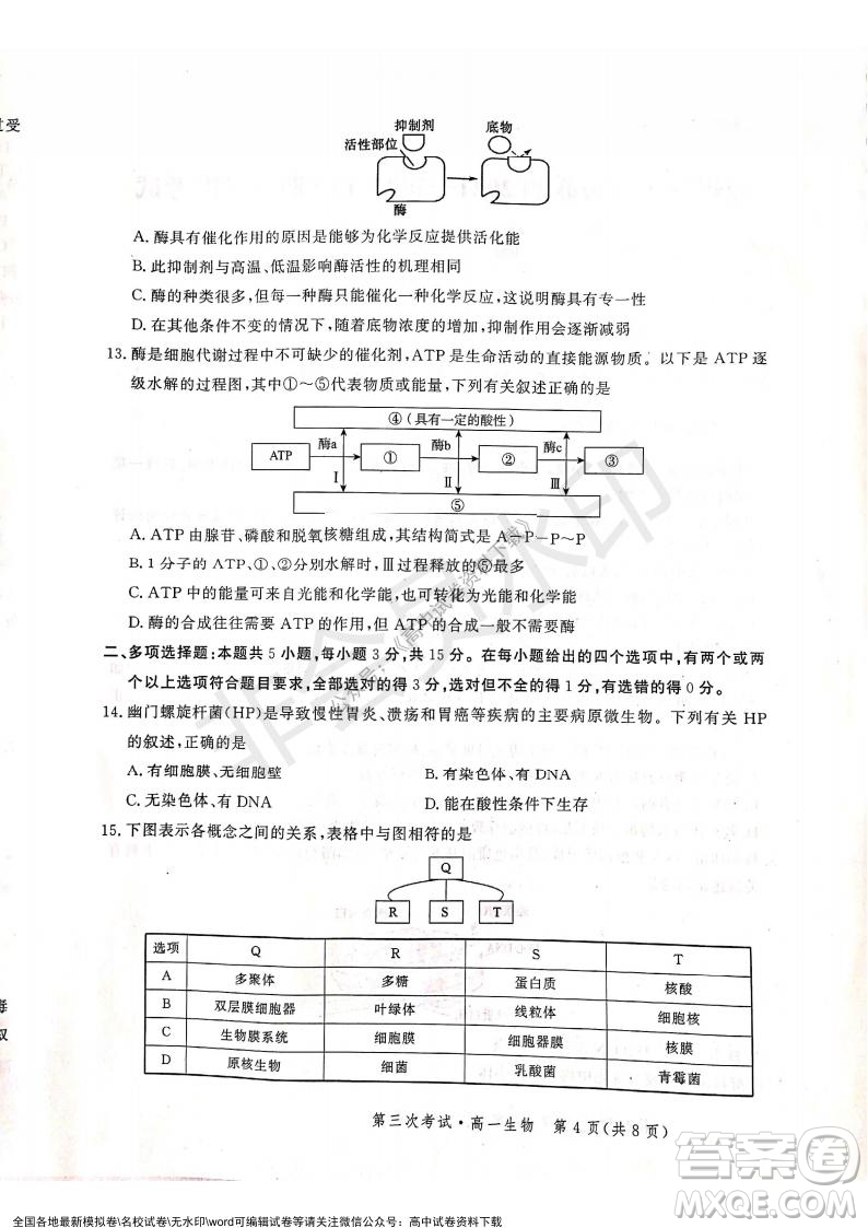 河北部分學(xué)校2021-2022上學(xué)期第三次月考高一生物試題及答案