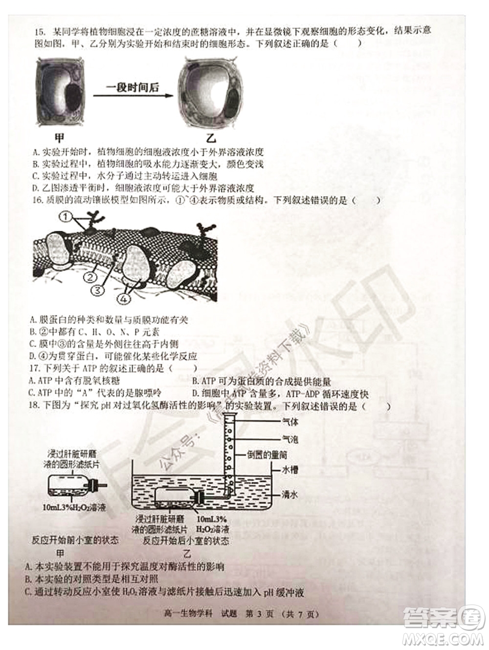 2021學(xué)年第一學(xué)期浙江省精誠(chéng)聯(lián)盟12月聯(lián)考高一生物試題及答案