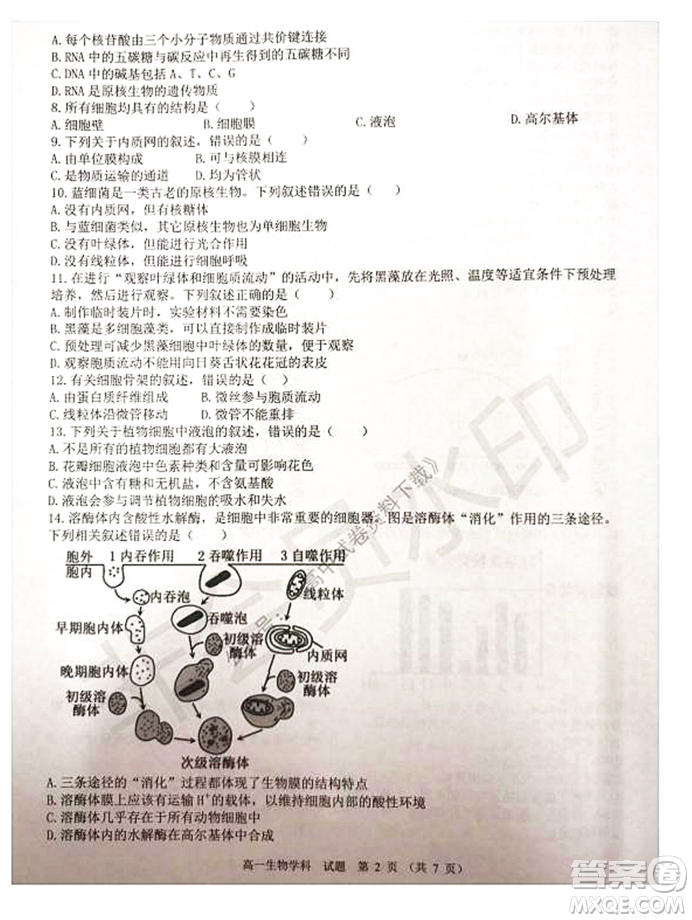 2021學(xué)年第一學(xué)期浙江省精誠(chéng)聯(lián)盟12月聯(lián)考高一生物試題及答案