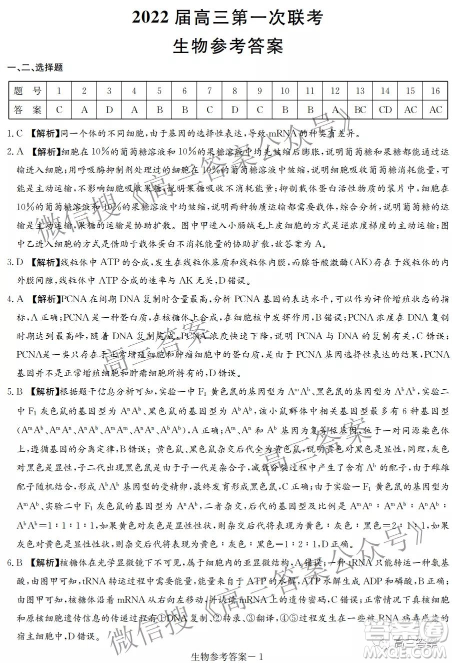 T8聯(lián)考2022屆高三第一次八校聯(lián)考生物答案