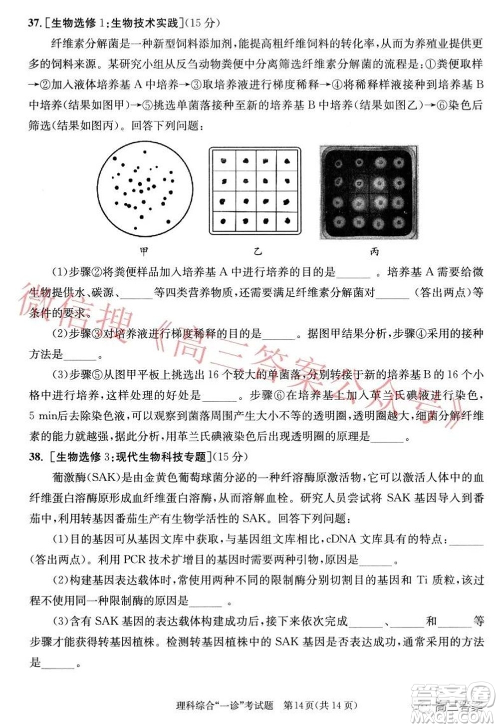 成都市2019級(jí)高中畢業(yè)班第一次診斷性檢測(cè)理科綜合試題及答案