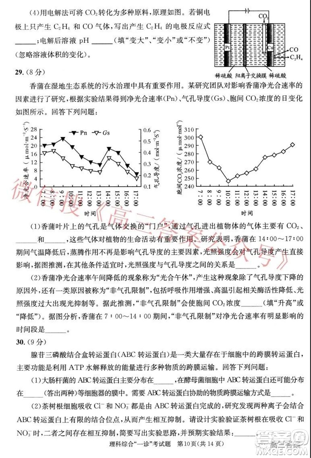 成都市2019級(jí)高中畢業(yè)班第一次診斷性檢測(cè)理科綜合試題及答案