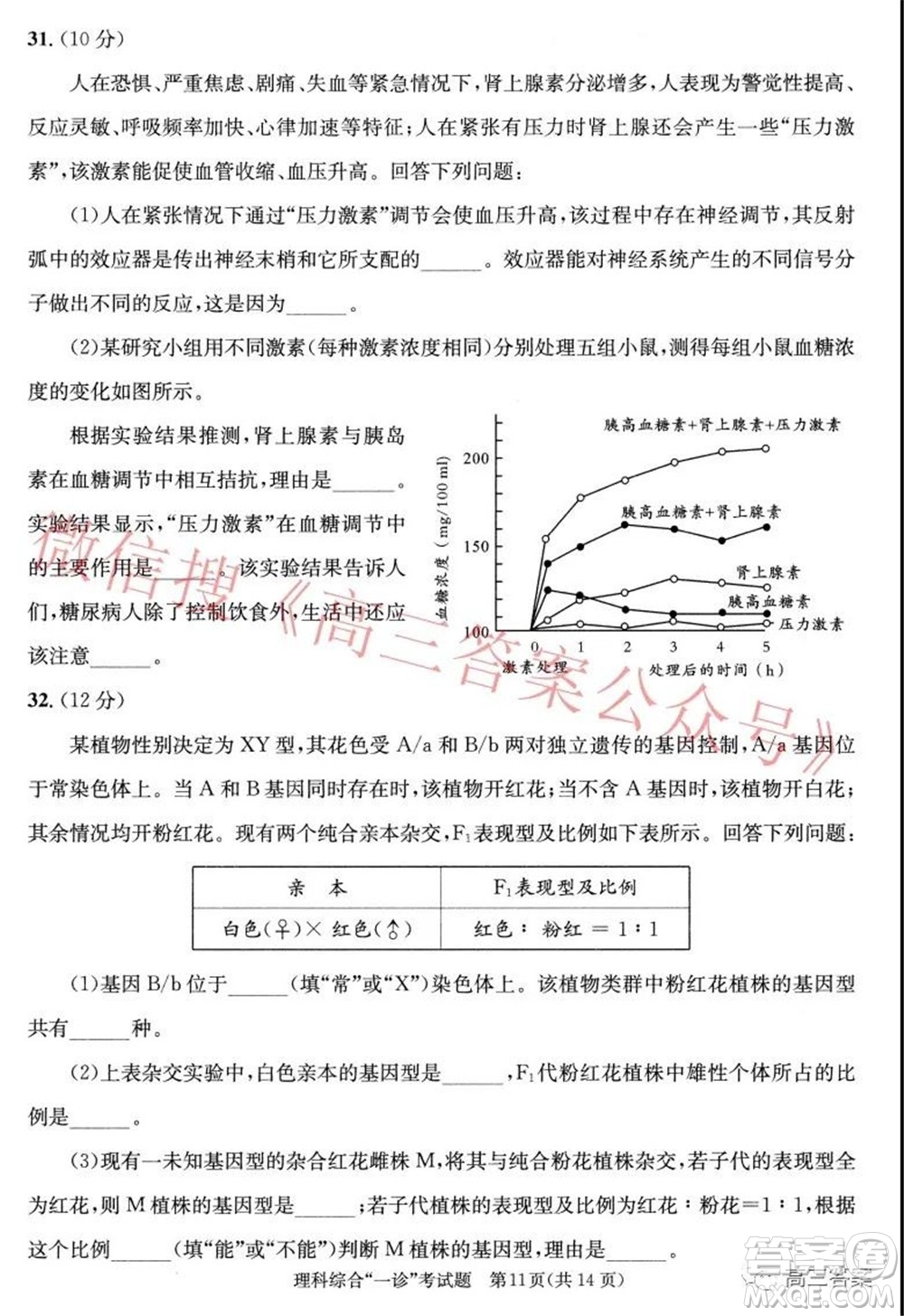 成都市2019級(jí)高中畢業(yè)班第一次診斷性檢測(cè)理科綜合試題及答案