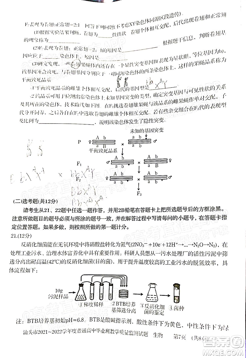 汕頭市2021-2022學(xué)年度普通高中畢業(yè)班教學(xué)質(zhì)量監(jiān)測(cè)試題生物答案