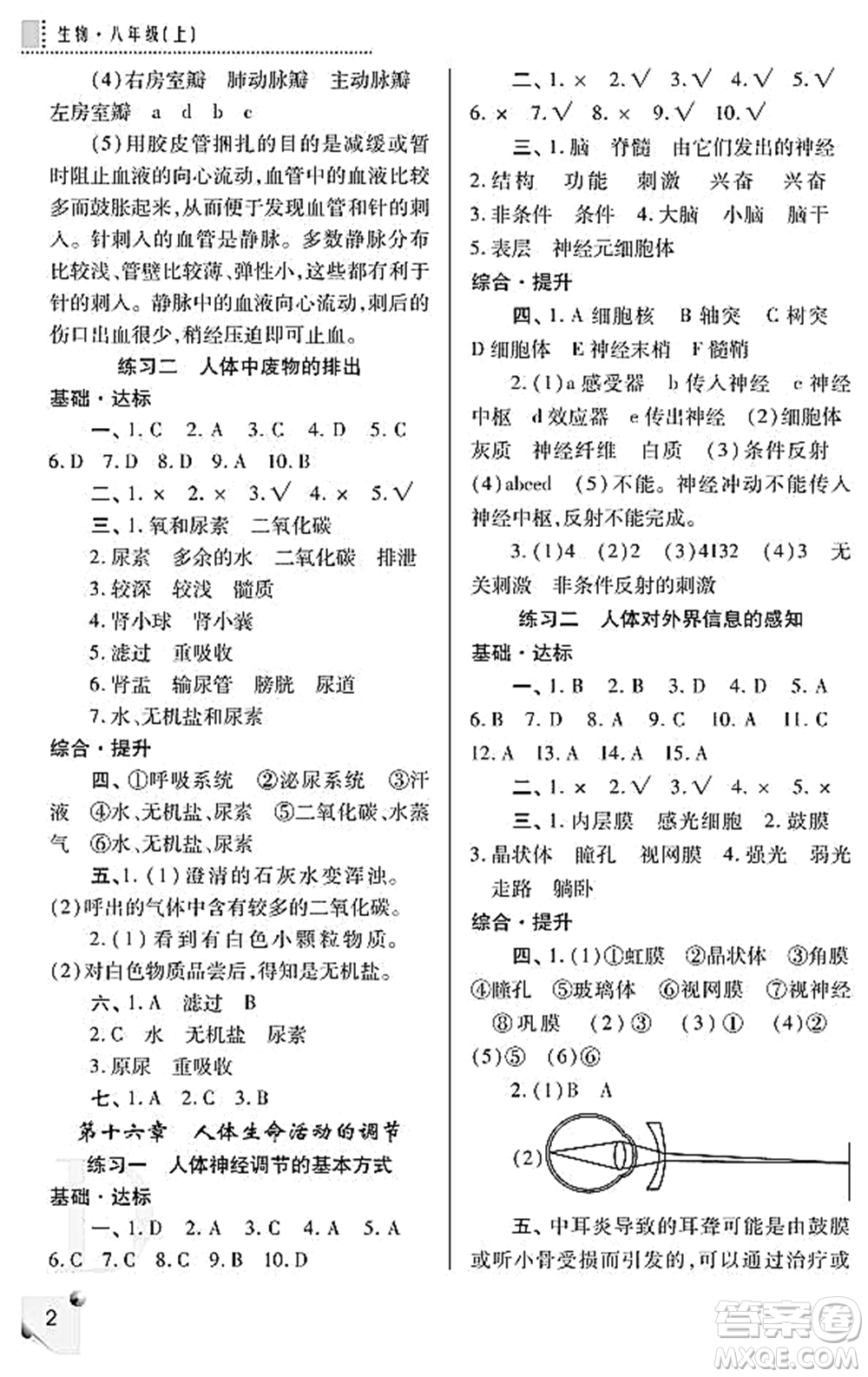 陜西師范大學出版總社2021課堂練習冊八年級生物上冊D蘇科版答案