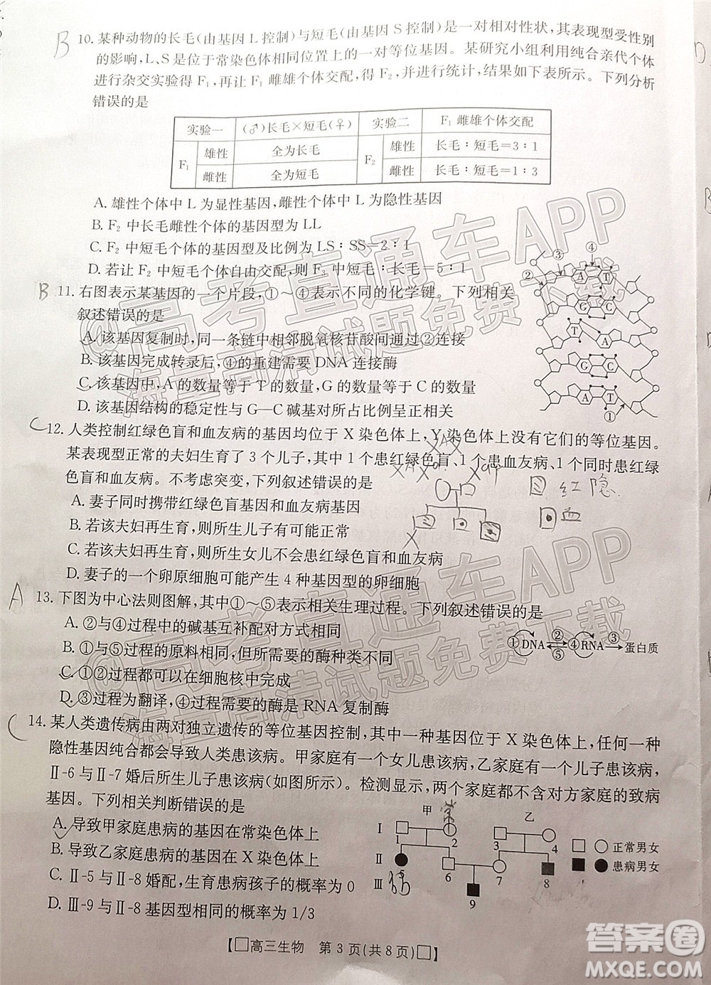 2022屆吉林金太陽高三12月聯(lián)考生物試題及答案