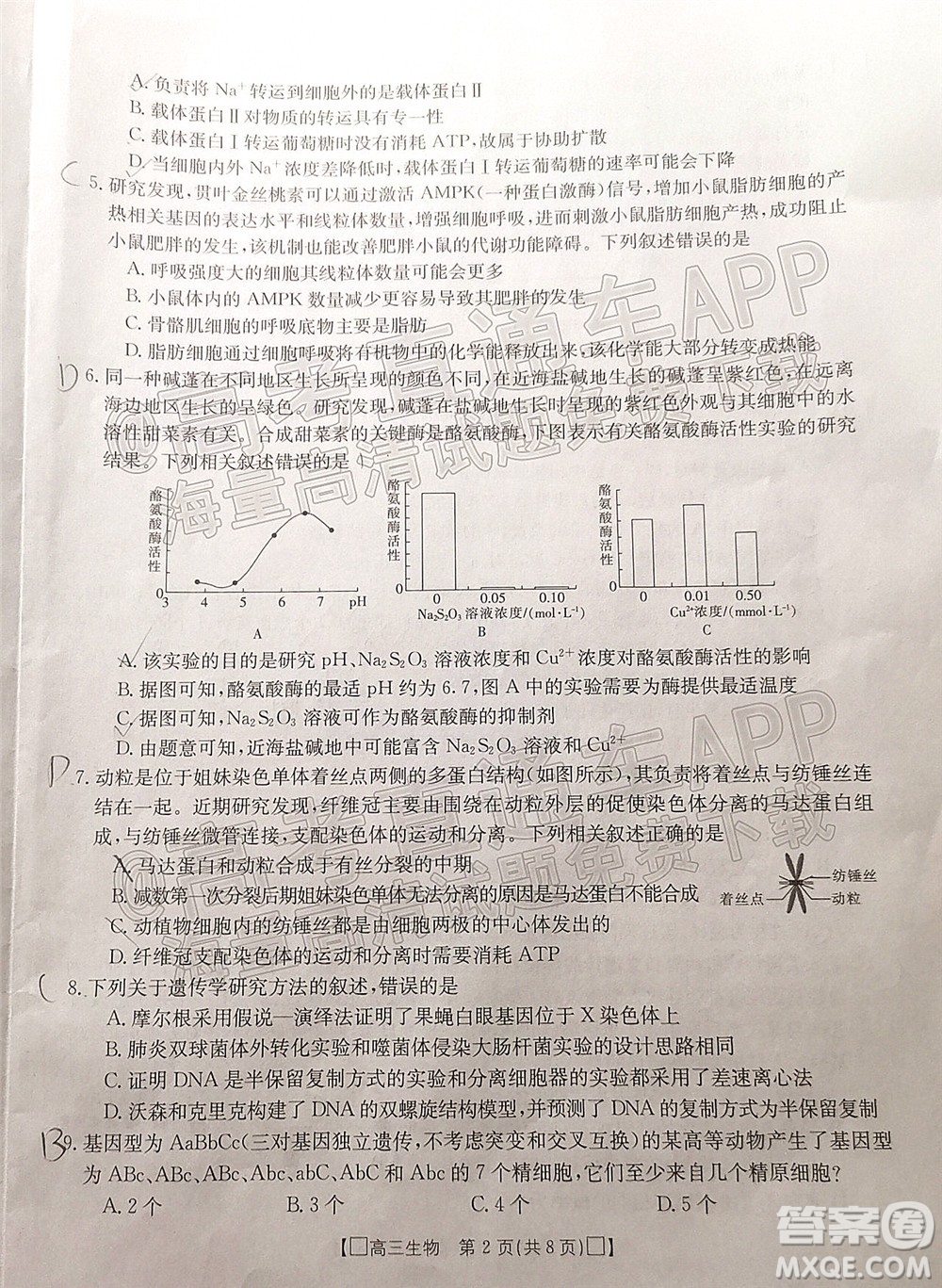 2022屆吉林金太陽高三12月聯(lián)考生物試題及答案