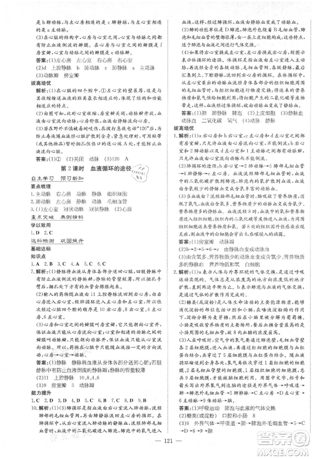 陜西人民教育出版社2021練案五四學制七年級生物學上冊魯科版參考答案