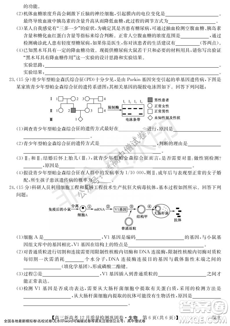 九師聯(lián)盟2021-2022學(xué)年高三新高考12月質(zhì)量檢測鞏固卷湖北卷生物試題及答案