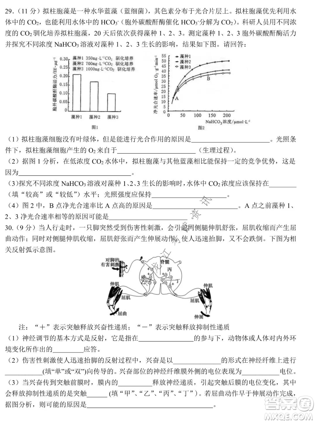 哈爾濱市第九中學(xué)2021-2022學(xué)年度上學(xué)期期末考試高三理科綜合試題及答案