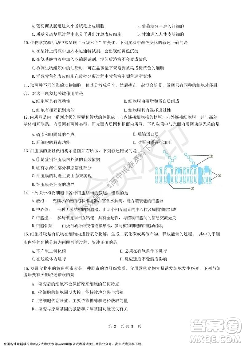 2021年浙江山河聯(lián)盟高一上學(xué)期12月聯(lián)考生物試題及答案