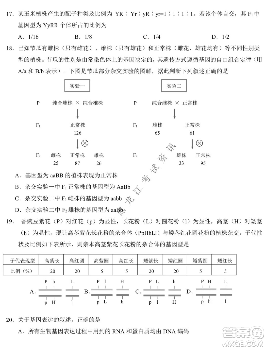 東北師大附中2019級(jí)高三年級(jí)第三次摸底考試生物試卷及答案