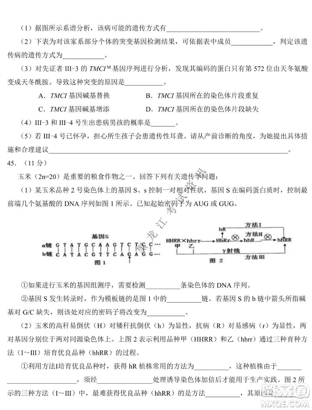 東北師大附中2019級(jí)高三年級(jí)第三次摸底考試生物試卷及答案