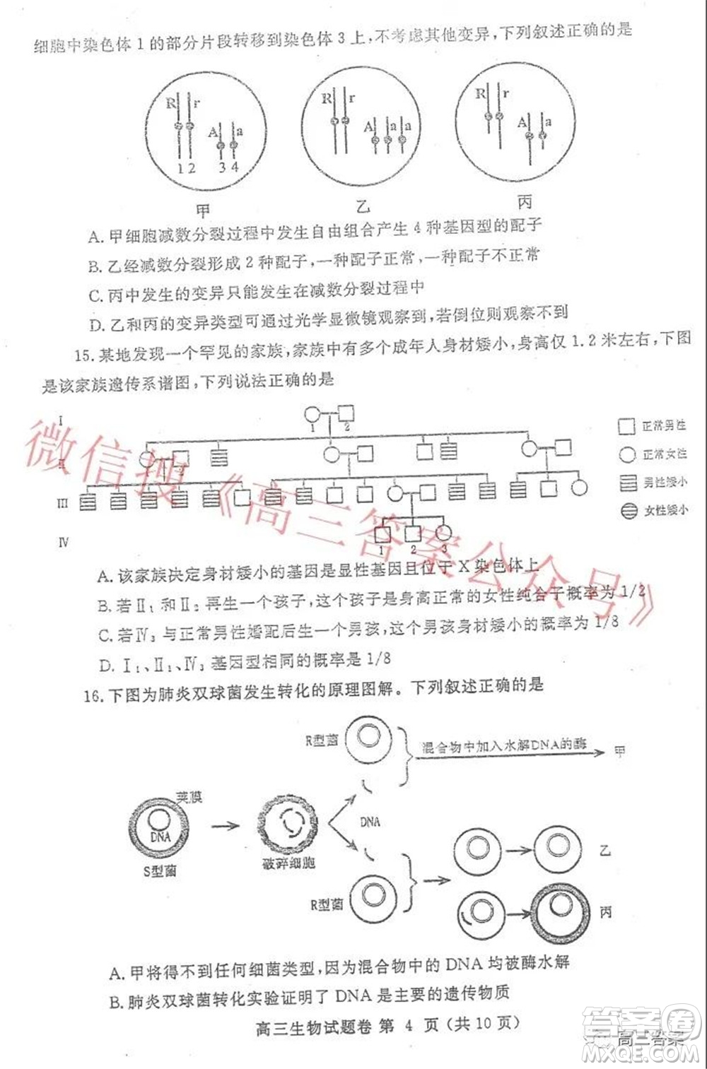 鄭州市2022年高中畢業(yè)年級(jí)第一次質(zhì)量預(yù)測生物試題及答案