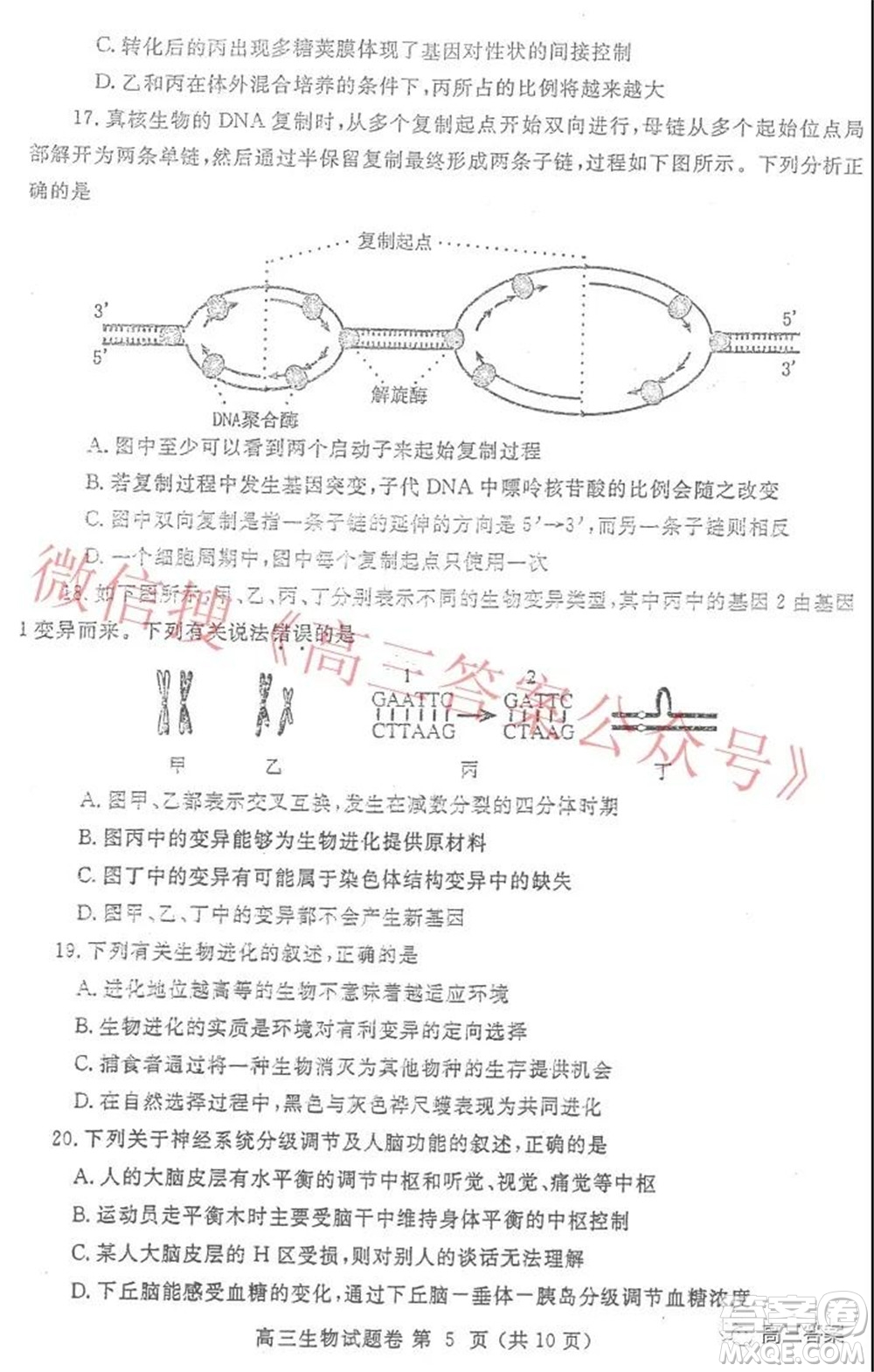 鄭州市2022年高中畢業(yè)年級(jí)第一次質(zhì)量預(yù)測生物試題及答案