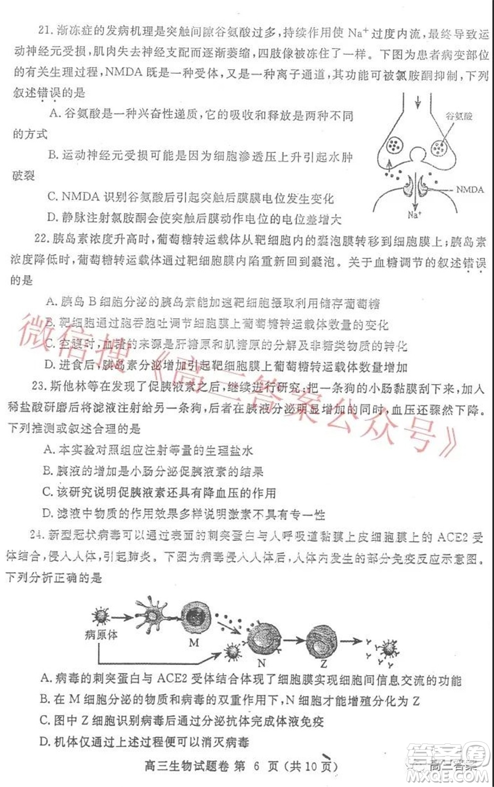 鄭州市2022年高中畢業(yè)年級(jí)第一次質(zhì)量預(yù)測生物試題及答案