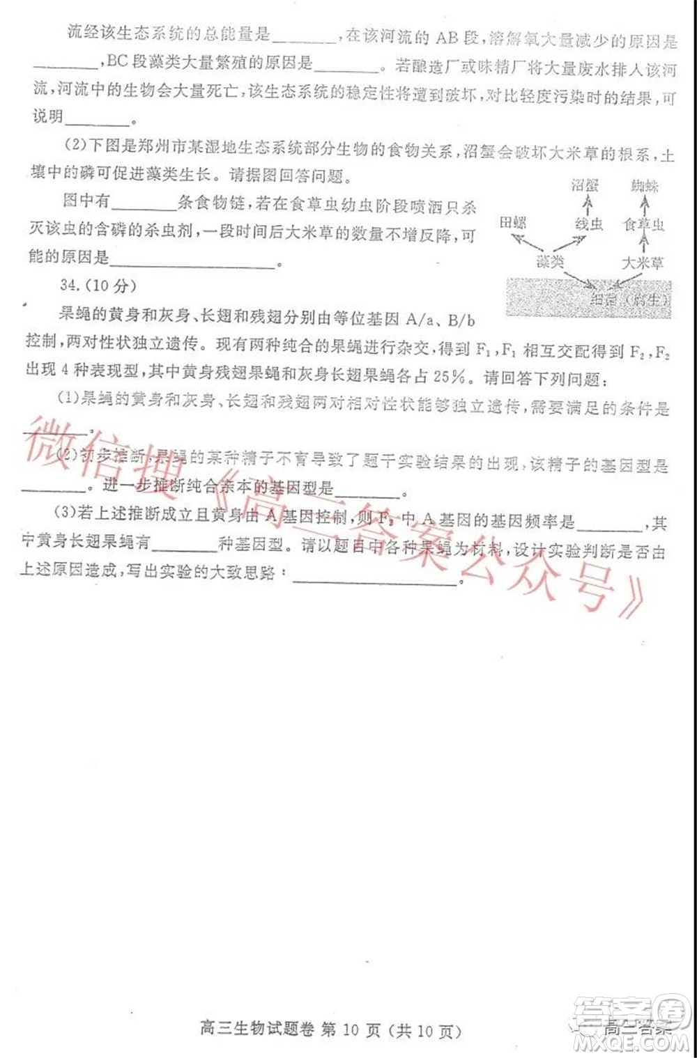 鄭州市2022年高中畢業(yè)年級(jí)第一次質(zhì)量預(yù)測生物試題及答案