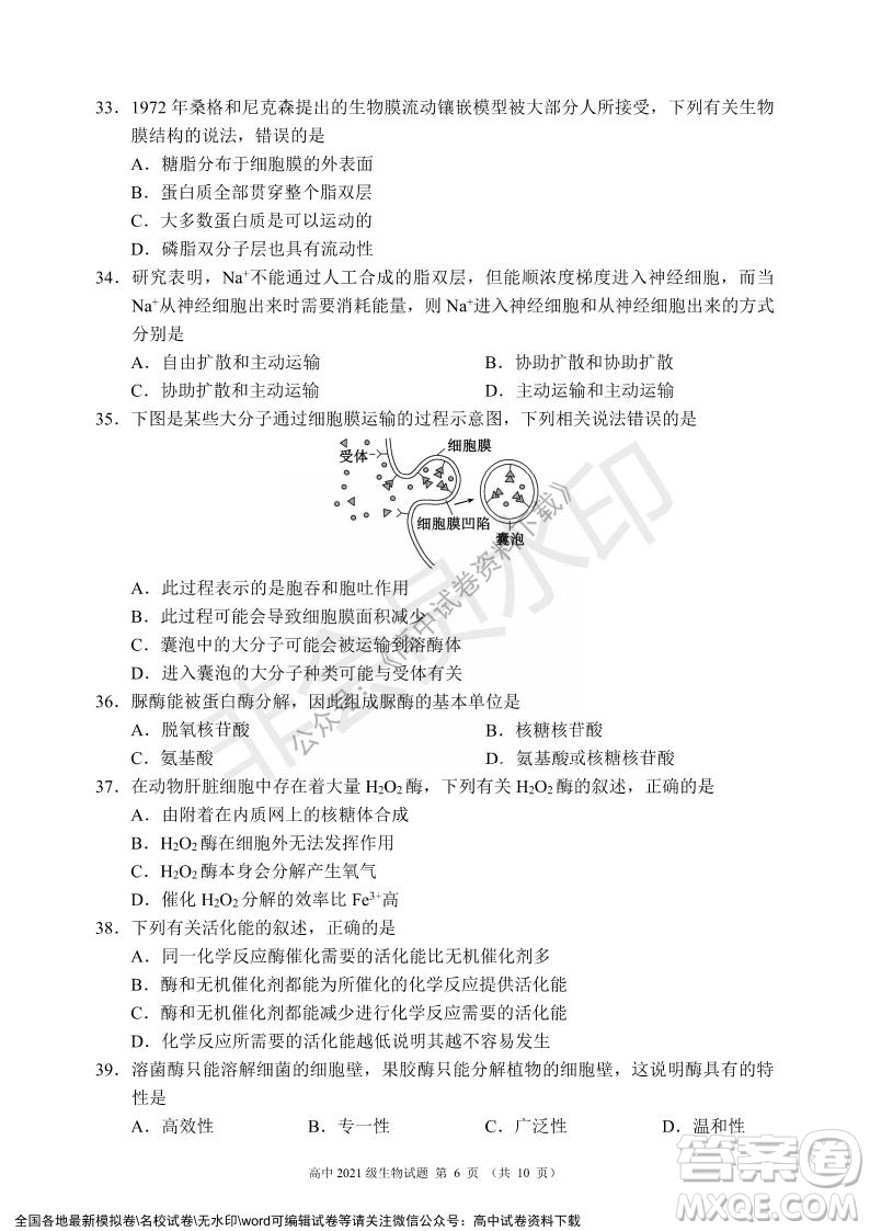 蓉城名校聯(lián)盟2021-2022學(xué)年度上期高中2021級(jí)期末聯(lián)考生物試題及答案